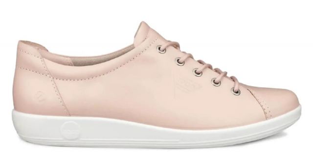 SNEAKER ECCO POWDER