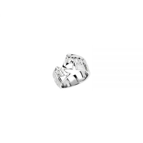 ANILLO UNO DE 50 