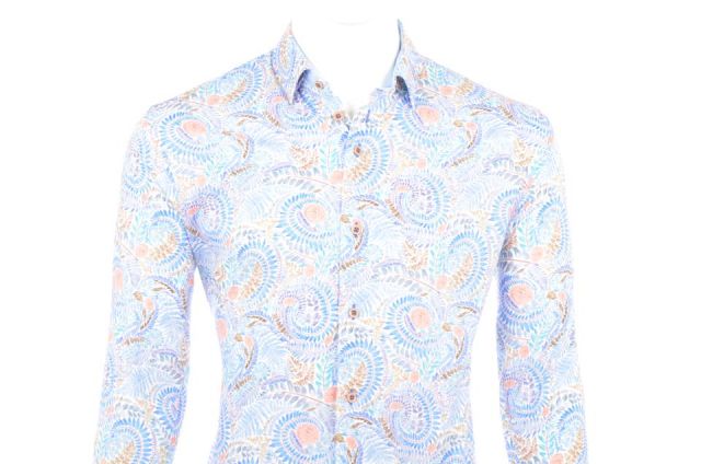 CAMISA EDEN VALLEY COLORS